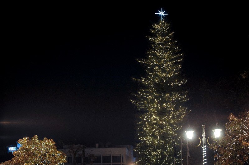 Οντως εντυπωσιακό! Το ψηλότερο φυσικό δέντρο της Ελλάδας στολίστηκε στα Τρίκαλα! [εικόνες] | iefimerida.gr 8