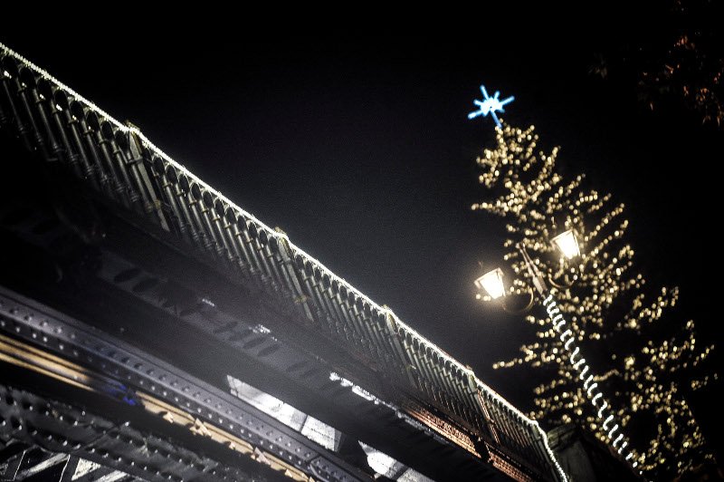 Οντως εντυπωσιακό! Το ψηλότερο φυσικό δέντρο της Ελλάδας στολίστηκε στα Τρίκαλα! [εικόνες] | iefimerida.gr 5