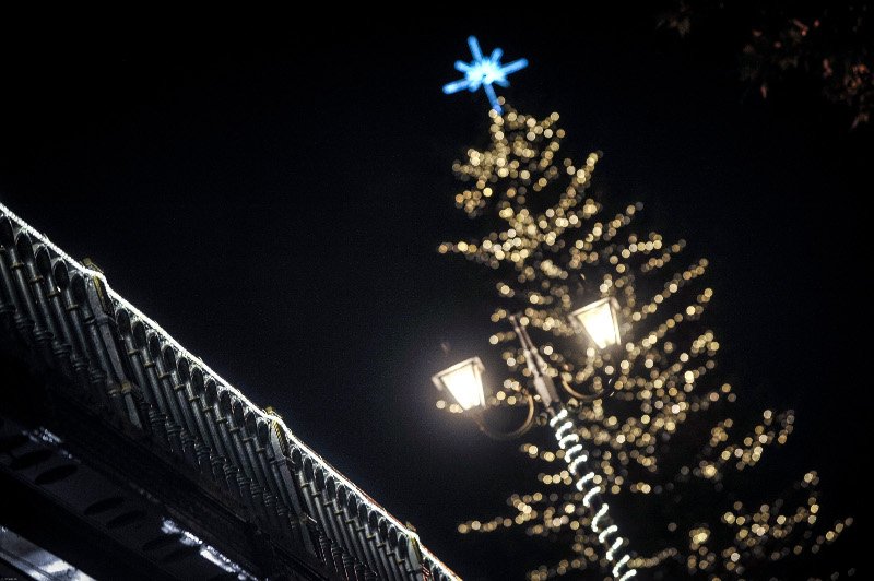 Οντως εντυπωσιακό! Το ψηλότερο φυσικό δέντρο της Ελλάδας στολίστηκε στα Τρίκαλα! [εικόνες] | iefimerida.gr 0