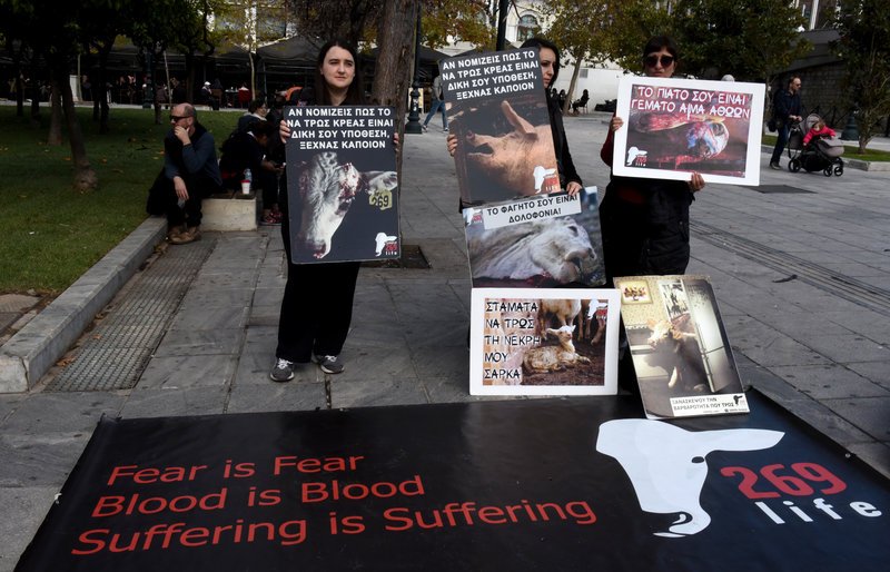 Διαμαρτυρία κινήματος Vegan στο Σύνταγμα -Κρατούσαν ένα κομμένο κεφάλι αγελάδας στα χέρια [εικόνες] | iefimerida.gr 4