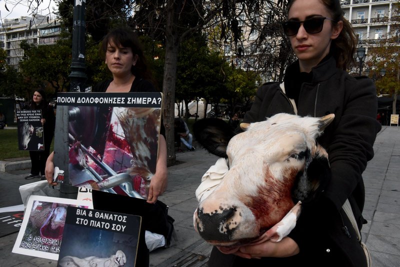 Διαμαρτυρία κινήματος Vegan στο Σύνταγμα -Κρατούσαν ένα κομμένο κεφάλι αγελάδας στα χέρια [εικόνες] | iefimerida.gr 0