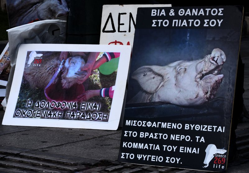 Διαμαρτυρία κινήματος Vegan στο Σύνταγμα -Κρατούσαν ένα κομμένο κεφάλι αγελάδας στα χέρια [εικόνες] | iefimerida.gr 2