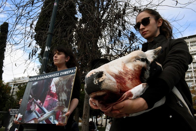 Διαμαρτυρία κινήματος Vegan στο Σύνταγμα -Κρατούσαν ένα κομμένο κεφάλι αγελάδας στα χέρια [εικόνες] | iefimerida.gr 1