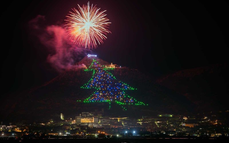 Τα 10 ωραιότερα χριστουγεννιάτικα δέντρα στον κόσμο [εικόνες] | iefimerida.gr 5