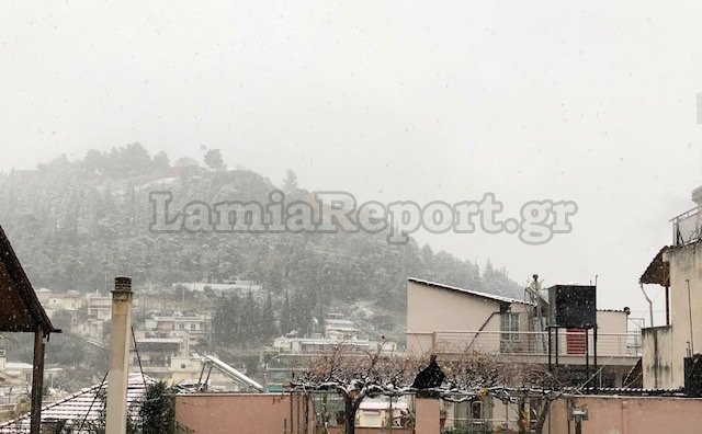 Στα λευκά «ξύπνησε» η Λάρισα -Χιονίζει μέσα στην πόλη [εικόνες & βίντεο] | iefimerida.gr 7