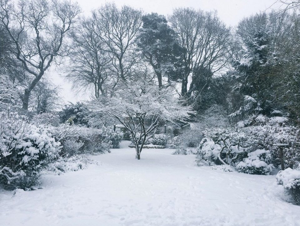 Χιονιάς σαρώνει τη Βρετανία: Ακυρώνονται πτήσεις και δρομολόγια τρένων [εικόνες & βίντεο] | iefimerida.gr 2