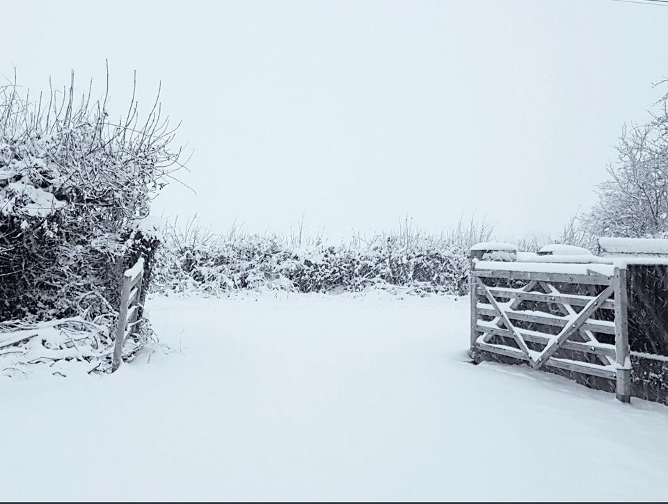 Χιονιάς σαρώνει τη Βρετανία: Ακυρώνονται πτήσεις και δρομολόγια τρένων [εικόνες & βίντεο] | iefimerida.gr 1