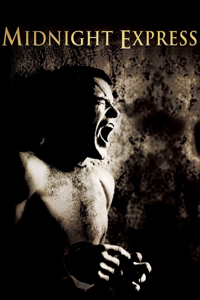 «NovastarsHD» Το κανάλι των βραβείων επιστρέφει και φέτος τον Ιανουάριο μόνο στη Nova [εικόνες & βίντεο] | iefimerida.gr 5