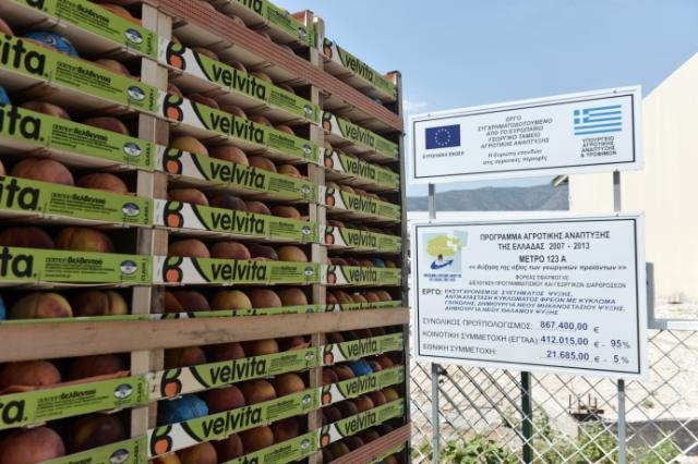 Ευρωπαϊκή αναγνώριση για τα ροδάκινα Βελβεντού -Παράδειγμα σύγχρονης και βιώσιμης γεωργίας | iefimerida.gr 0