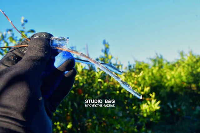 Πάγωσε η Αργολίδα- Εντυπωσιακοί κρύσταλλοι σχηματίστηκαν στους πορτοκαλεώνες [εικόνα] | iefimerida.gr 3