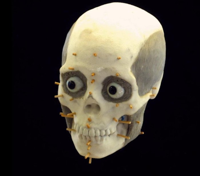 Αρχαιολόγοι ανακατασκεύασαν το πρόσωπο βασίλισσας που έζησε πριν από 1.200 χρόνια [εικόνες και βίντεο] | iefimerida.gr 0