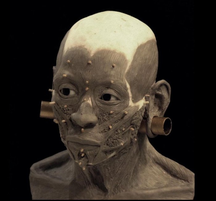 Αρχαιολόγοι ανακατασκεύασαν το πρόσωπο βασίλισσας που έζησε πριν από 1.200 χρόνια [εικόνες και βίντεο] | iefimerida.gr 1