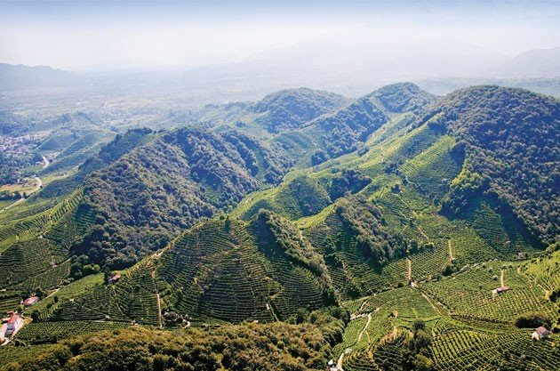 Prosecco, η σαμπάνια του φτωχού για τις γιορτές [εικόνες] | iefimerida.gr 6