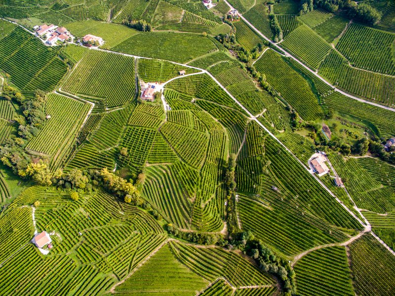 Prosecco, η σαμπάνια του φτωχού για τις γιορτές [εικόνες] | iefimerida.gr 8