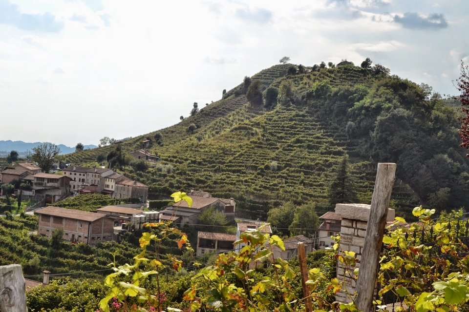 Prosecco, η σαμπάνια του φτωχού για τις γιορτές [εικόνες] | iefimerida.gr 5