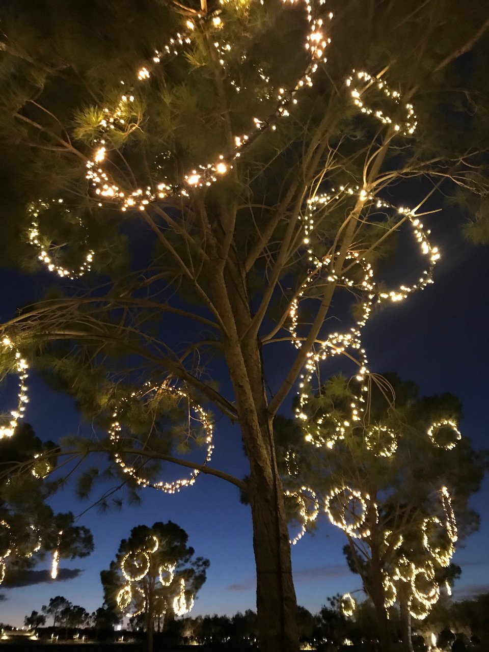 Πρωτοχρονιά στο Κέντρο Πολιτισμού Ιδρυμα Νιάρχος -Πυροτεχνήματα, DJs, νυχτερινός αγώνας δρόμου [εικόνες] | iefimerida.gr 2