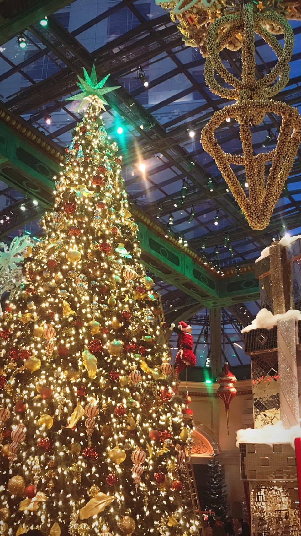 Κωνσταντίνα Σπυροπούλου και Lady Gaga τρώνε δίπλα δίπλα, στο ίδιο εστιατόριο [εικόνες] | iefimerida.gr 2