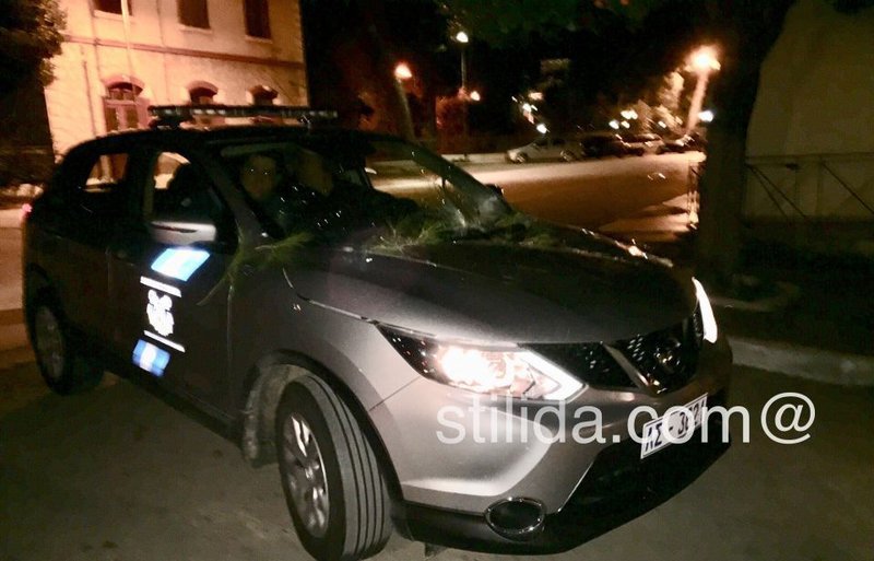 Στυλίδα: Δέντρο ξεριζώθηκε και έπεσε πάνω σε αυτοκίνητο [εικόνες] | iefimerida.gr 0