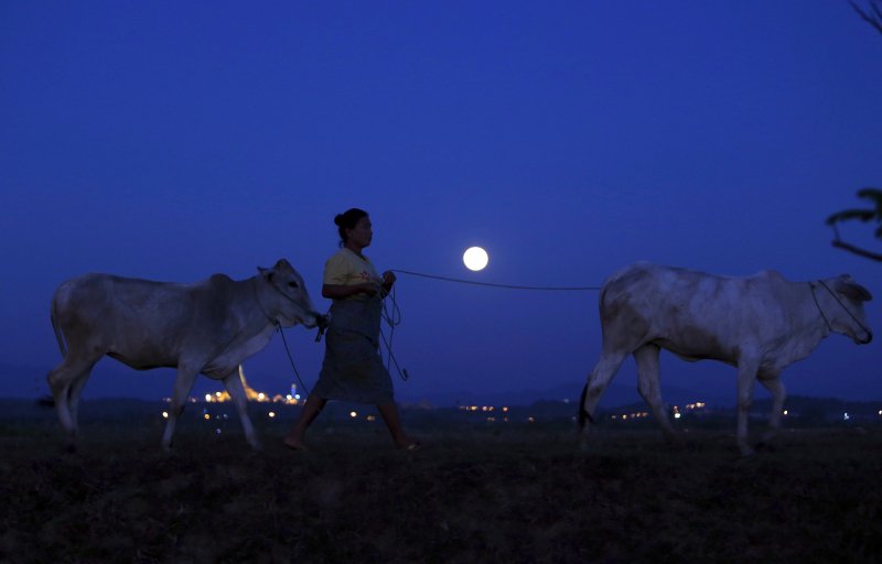 Εντυπωσιακές φωτογραφίες ανά τον κόσμο από το μεγαλύτερο φεγγάρι του 2017 [εικόνες] | iefimerida.gr 0
