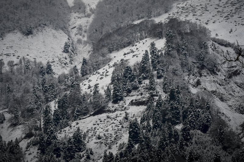 Χιονόπτωση στη νότια Πίνδο, η οροσειρά ντύνεται στα λευκά και «ποζάρει» στο φωτογραφικό φακό [εικόνες] | iefimerida.gr 4