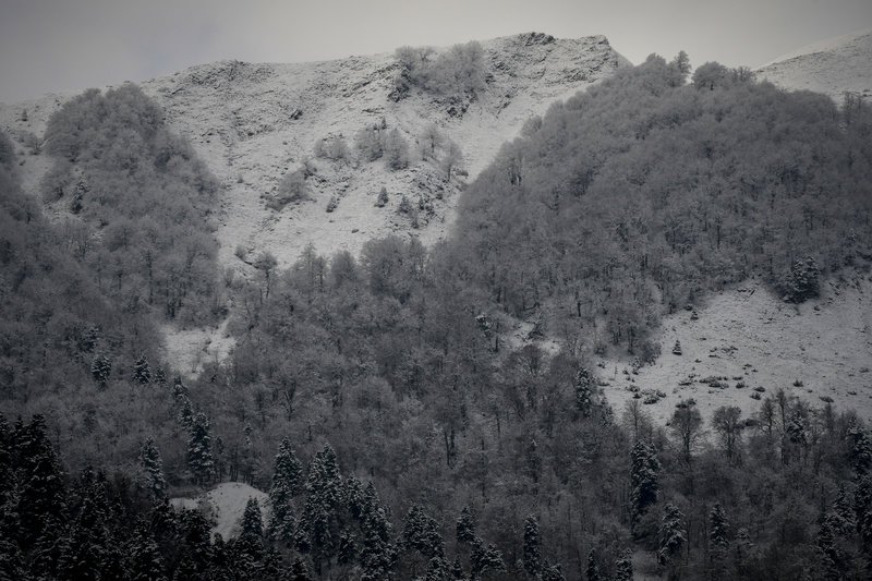 Χιονόπτωση στη νότια Πίνδο, η οροσειρά ντύνεται στα λευκά και «ποζάρει» στο φωτογραφικό φακό [εικόνες] | iefimerida.gr 5