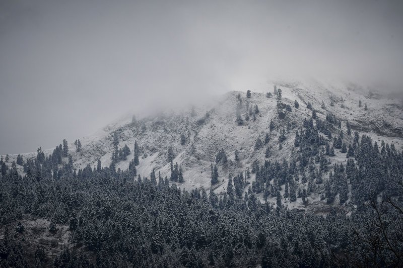 Χιονόπτωση στη νότια Πίνδο, η οροσειρά ντύνεται στα λευκά και «ποζάρει» στο φωτογραφικό φακό [εικόνες] | iefimerida.gr 0