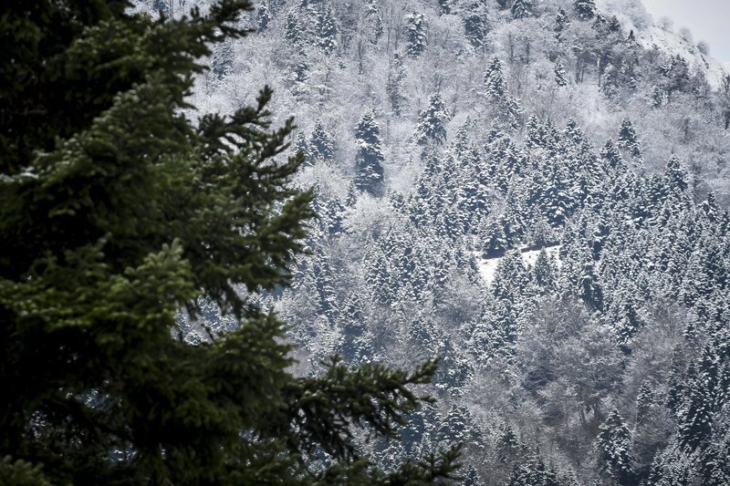 Χιονόπτωση στη νότια Πίνδο, η οροσειρά ντύνεται στα λευκά και «ποζάρει» στο φωτογραφικό φακό [εικόνες] | iefimerida.gr 1