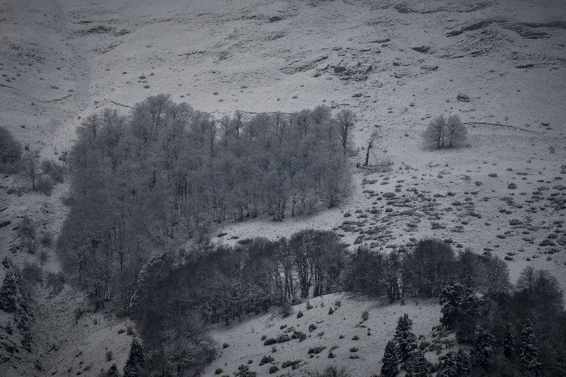 Χιονόπτωση στη νότια Πίνδο, η οροσειρά ντύνεται στα λευκά και «ποζάρει» στο φωτογραφικό φακό [εικόνες] | iefimerida.gr 2