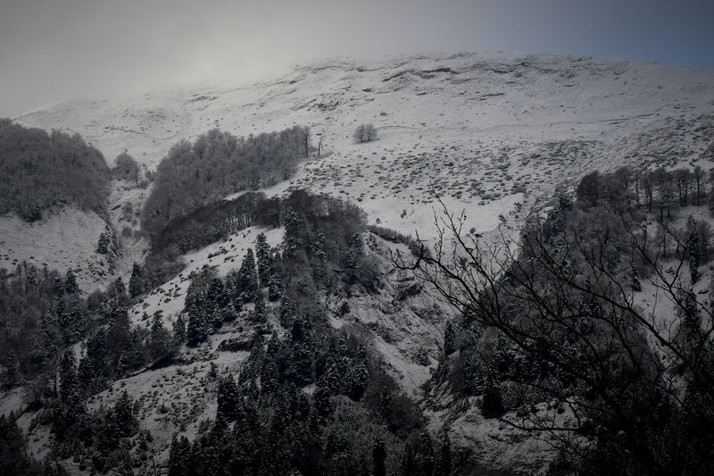 Χιονόπτωση στη νότια Πίνδο, η οροσειρά ντύνεται στα λευκά και «ποζάρει» στο φωτογραφικό φακό [εικόνες] | iefimerida.gr 3