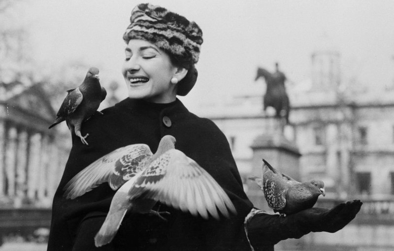 Maria by Callas: Ούτε χαμογελαστή, ούτε καλοσυνάτη -Η νέα ταινία για τη Μαρία Κάλλας | iefimerida.gr 4