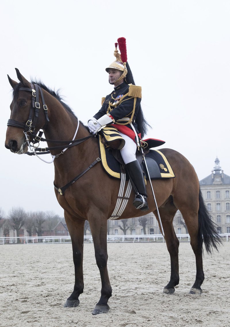 Σε καραντίνα το άλογο που δώρισε ο Μακρόν στον Κινέζο ομόλογό του [εικόνες] | iefimerida.gr 0