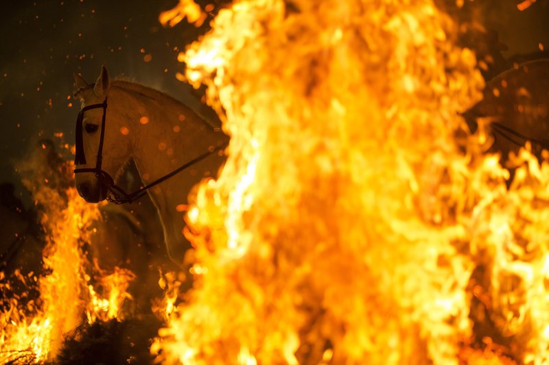 Το αμφιλεγόμενο ισπανικό έθιμο για τη γιορτή του Αγίου Αντωνίου -Αλογα πηδούν μέσα από φωτιές [εικόνες] | iefimerida.gr 1