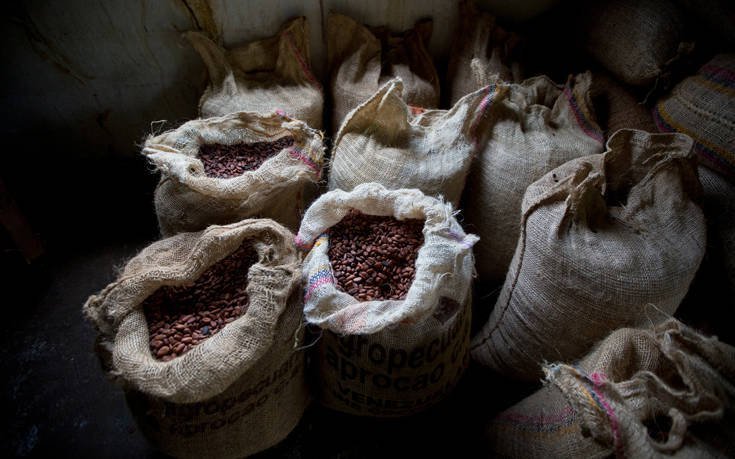 SΟS: Η σοκολάτα κινδυνεύει να ...εξαφανιστεί! [εικόνες] | iefimerida.gr 0