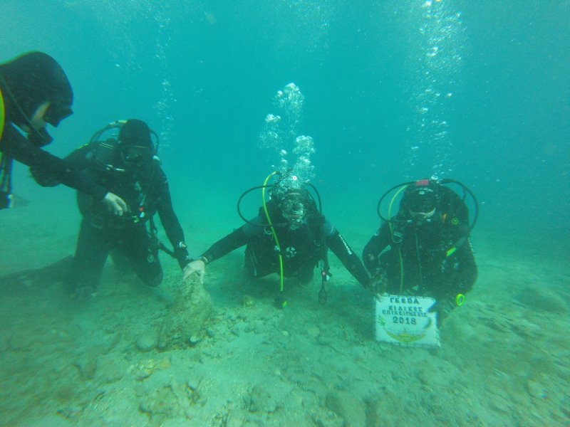 Ο αρχηγός του ΓΕΕΘΑ θυμήθηκε τα παλιά -Εκανε άλμα με αλεξίπτωτο και κατάδυση [εικόνες & βίντεο] | iefimerida.gr 10