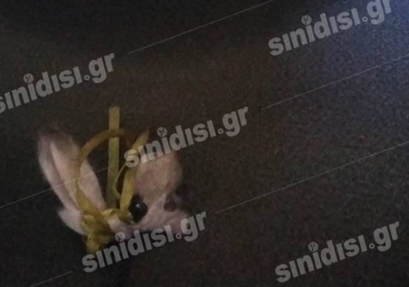 Ανατριχίλα: Μέσα στο καμένο αυτοκίνητο της Ειρήνης Λαγούδη [εικόνες & βίντεο] | iefimerida.gr 2