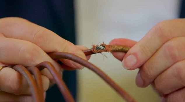 Οσα απίστευτα βρήκαν κρυμμένα κάτω από πάτωμα στο Μπάκιγχαμ -Ενώ έκαναν ανακαίνιση [εικόνες & βίντεο] | iefimerida.gr 2