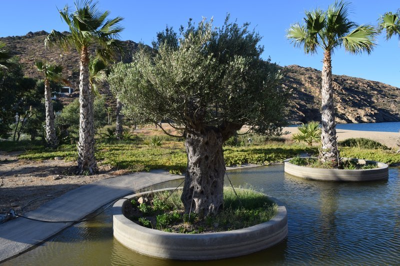 Ο «άρχοντας της Ιου» ανοίγει ένα από τα κορυφαία ξενοδοχεία του 2018 [εικόνες & βίντεο] | iefimerida.gr 6