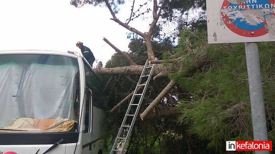 Κεφαλονιά: Επεσε δέντρο επάνω σε λεωφορείο [εικόνες]  | iefimerida.gr 1