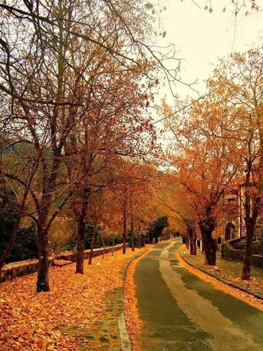 Ο «δρόμος της αγάπης» βρίσκεται στην Ελλάδα -Παραμυθένιο μονοπάτι, προορισμός ερωτευμένων [εικόνες] | iefimerida.gr 1