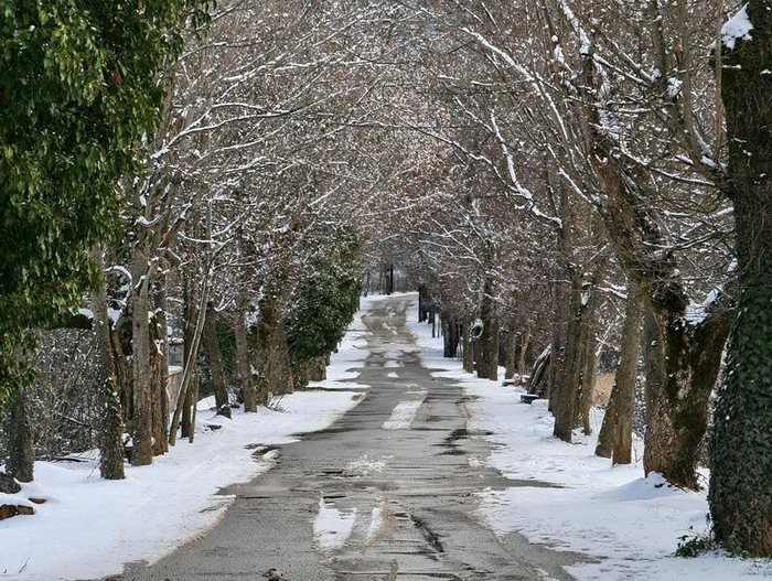 Ο «δρόμος της αγάπης» βρίσκεται στην Ελλάδα -Παραμυθένιο μονοπάτι, προορισμός ερωτευμένων [εικόνες] | iefimerida.gr 2