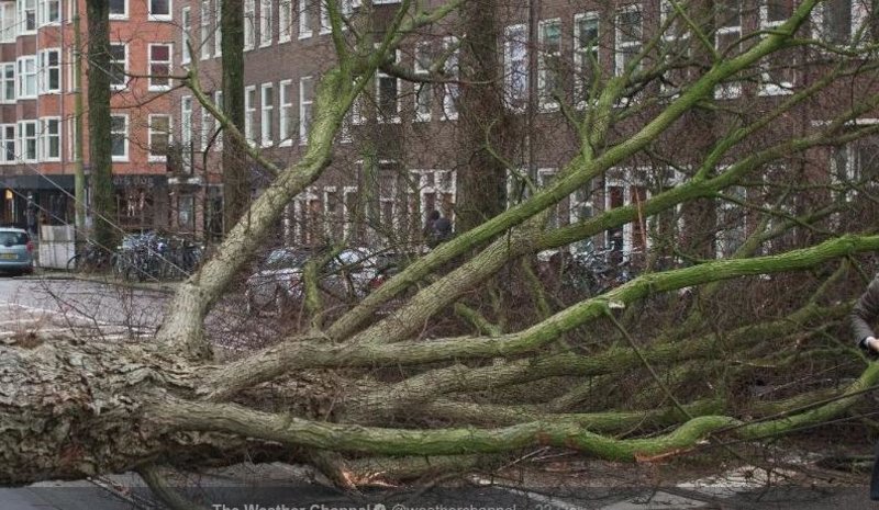 Γερμανία: 8 οι νεκροί από τη φονική κακοκαιρία [εικόνες] | iefimerida.gr 3