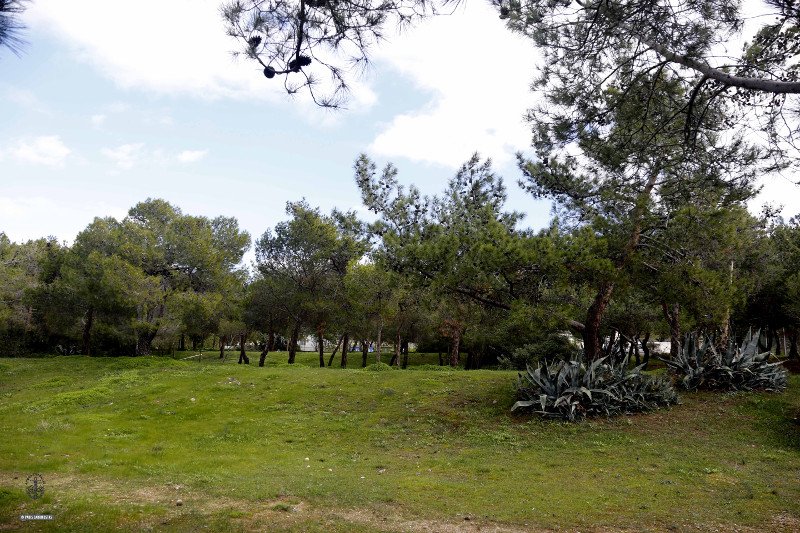 Η ιαματική πηγή της Αιξωνής -Βρέθηκαν «θερμά νερά» στη Γλυφάδα [εικόνες] | iefimerida.gr 0