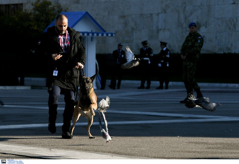 Ισραηλινοί πράκτορες με κιάλια και σκυλιά έκαναν φύλλο και φτερό το Σύνταγμα [εικόνες] | iefimerida.gr 5