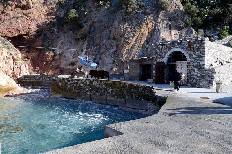 Στο Αγιον Ορος ο Πάνος Καμμένος για τον εορτασμό των Θεοφανείων [εικόνες] | iefimerida.gr 3