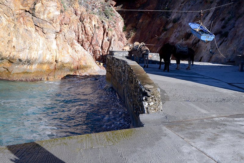Στο Αγιον Ορος ο Πάνος Καμμένος για τον εορτασμό των Θεοφανείων [εικόνες] | iefimerida.gr 7