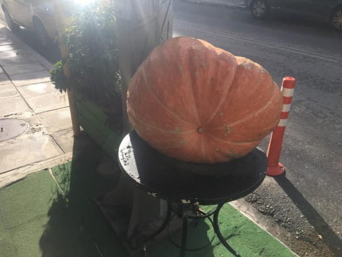 Kολοκύθα για ρεκόρ Γκίνες στην Κρήτη -Ζυγίζει 27 κιλά [εικόνες] | iefimerida.gr 0