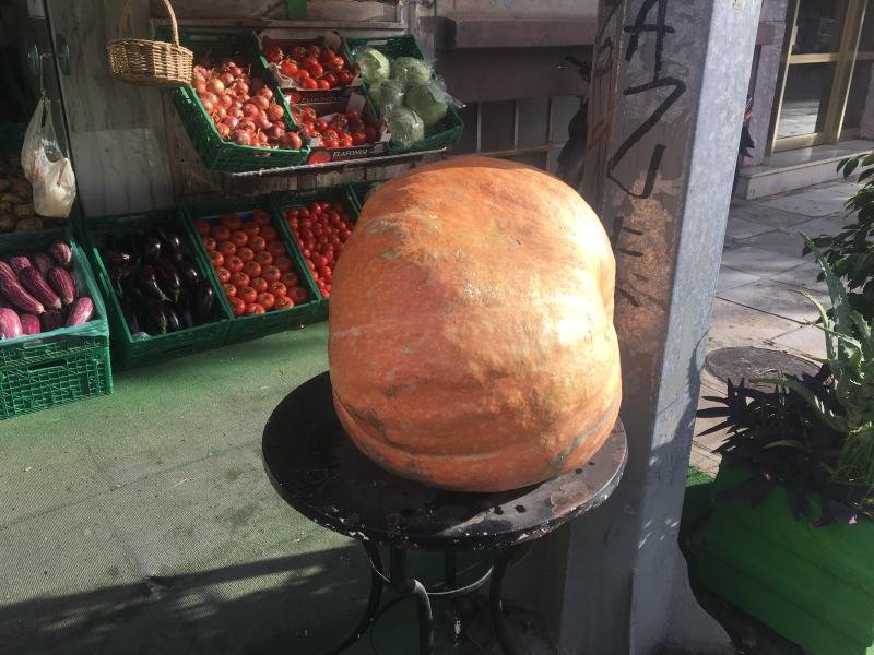 Kολοκύθα για ρεκόρ Γκίνες στην Κρήτη -Ζυγίζει 27 κιλά [εικόνες] | iefimerida.gr 1