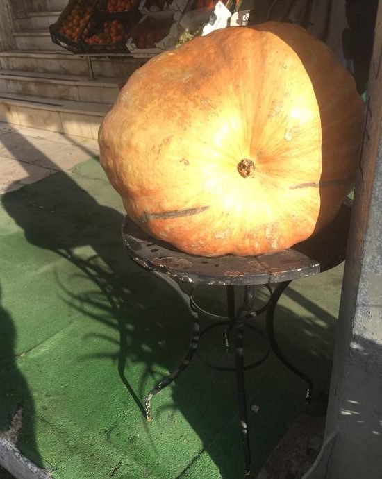 Kολοκύθα για ρεκόρ Γκίνες στην Κρήτη -Ζυγίζει 27 κιλά [εικόνες] | iefimerida.gr 2