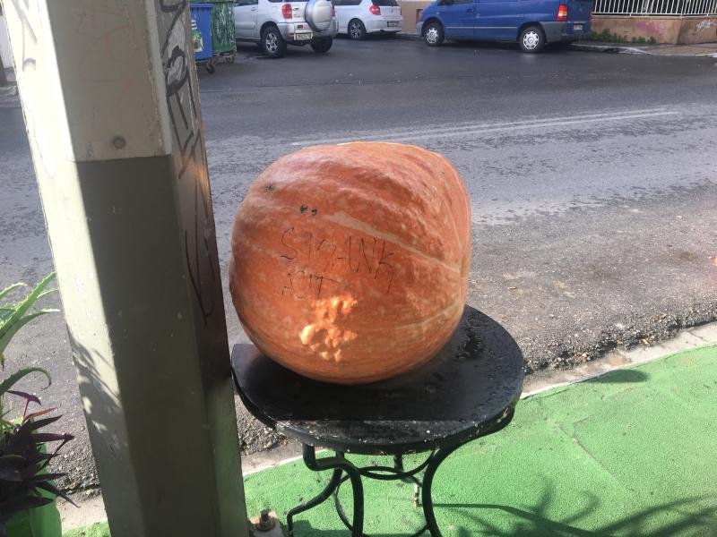 Kολοκύθα για ρεκόρ Γκίνες στην Κρήτη -Ζυγίζει 27 κιλά [εικόνες] | iefimerida.gr 3