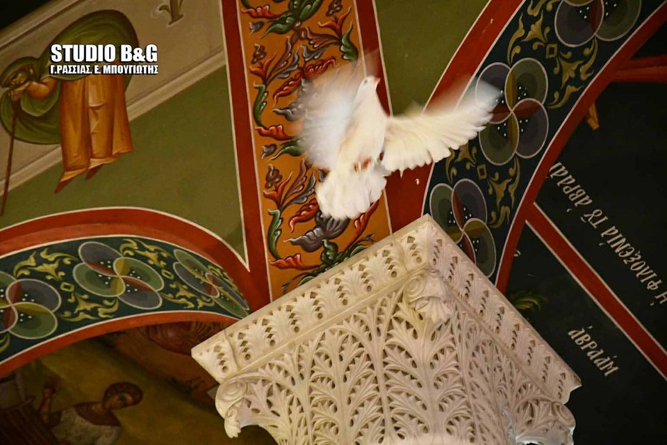 Γέμισε περιστέρια ο ναός στο Ναύπλιο -Οπως περιγράφει το Ευαγγέλιο [εικόνες] | iefimerida.gr 1